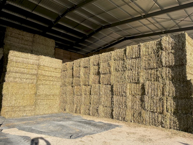 380mt Oaten Hay 8x4x3 Bales (New Season 22/23)