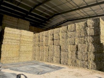 380mt Oaten Hay 8x4x3 Bales (New Season 22/23)