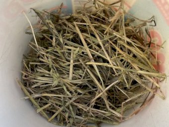 380mt Oaten Hay 8x4x3 Bales (New Season 22/23)