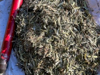 380mt Oaten Hay 8x4x3 Bales (New Season 22/23)