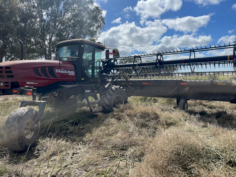 2017 Macdon M155 Windrower with 2017 D65 Draper Front