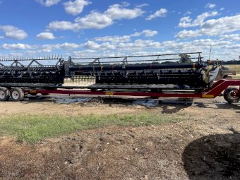 2017 Macdon M155 Windrower with 2017 D65 Draper Front