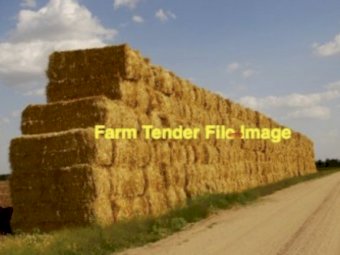 100mt Barley Straw 530kg 8x4x3 Bales