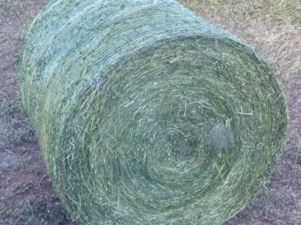 60 x Lucerne Silage 4x4 Bales (Wrapped x 6)