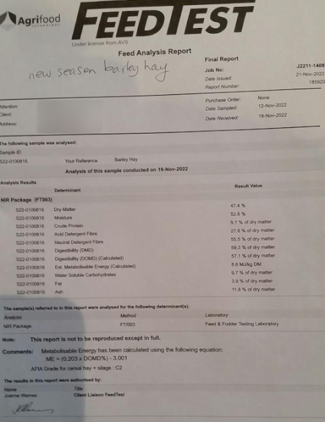 Barley Hay 8x4x3 Bales