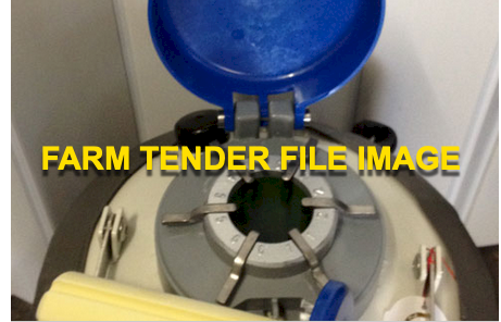 152 x Semen Limousin Straws