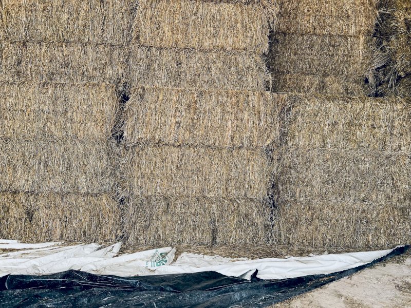 500mt Oaten Hay 540kg 8x4x3 Bales