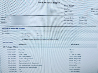 500mt Oaten Hay 540kg 8x4x3 Bales