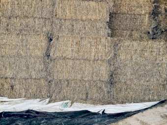 500mt Oaten Hay 540kg 8x4x3 Bales