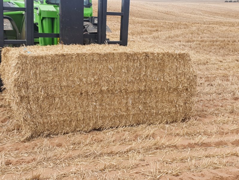 40mt Barley Straw 500kg 8x4x3 Bales (New Season 22/23) | Farm Tender