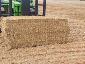 40mt Barley Straw 500kg 8x4x3 Bales (New Season 22/23)