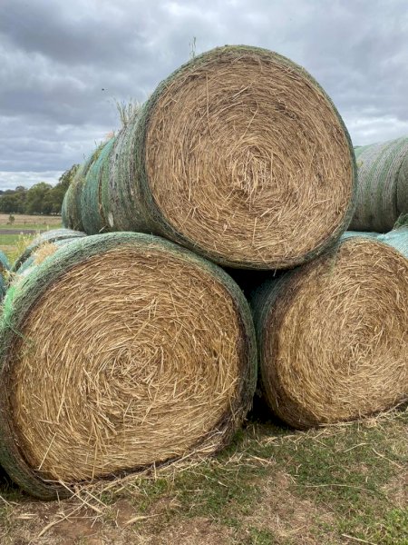 40 x Wheaten Hay 5x4 Rolls (New Season 22/23)