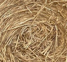 40 x Wheaten Hay 5x4 Rolls (New Season 22/23)