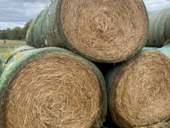 40 x Wheaten Hay 5x4 Rolls (New Season 22/23)