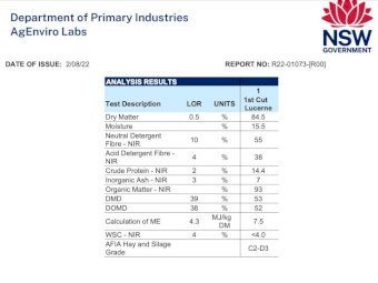 250 Rolls 1st Cut Lucerne
