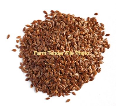 Bird Seed - Linseed with no germ.  Bird seed only.  