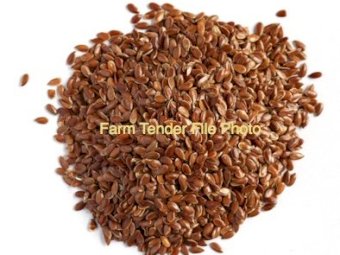 Bird Seed - Linseed with no germ.  Bird seed only.  