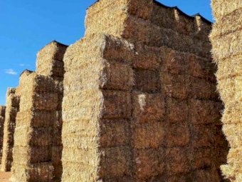 Oaten Hay 8x4x3 bales