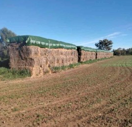 100 x Oaten Hay 350kg 8x4x3 Bales