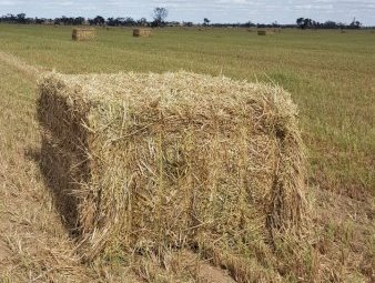 100mt Oaten Hay 650kg 8x4x3 Bales (New Season 22/23)