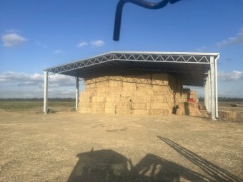 300 mt Rhodes Grass Hay