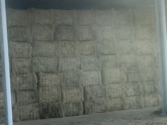 300 mt Rhodes Grass Hay