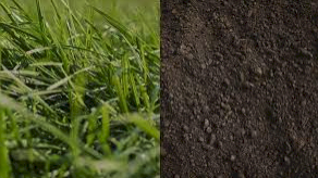 **Don't Miss Out** Granulock SS finally restocked after 2 years. Ex Adelaide