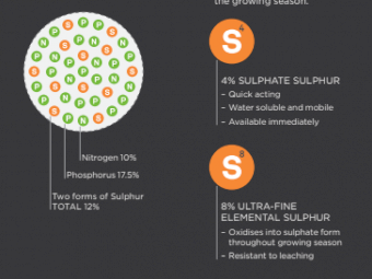 **Don't Miss Out** Granulock SS finally restocked after 2 years. Ex Newcastle