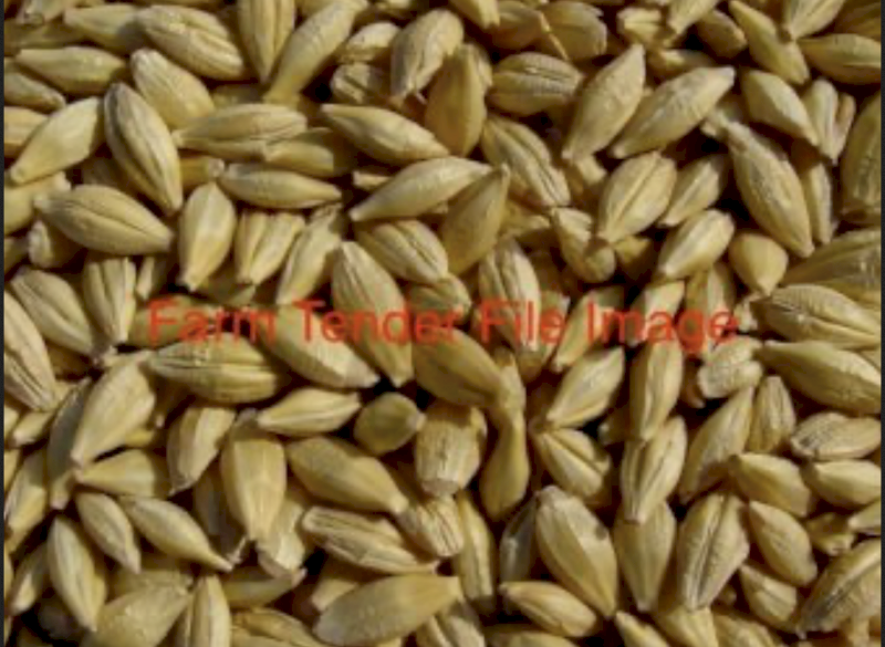 200mt BAR1 Barley