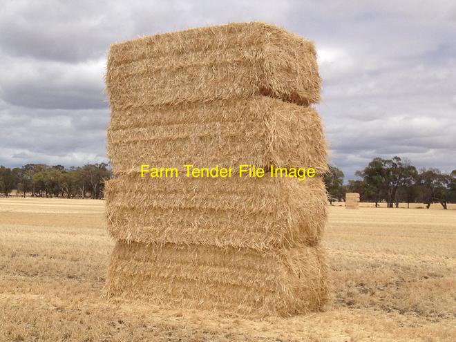 1000mt Barley Straw 520kg 8x4x3 Bales (Header Tailings)
