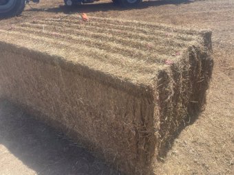 110mt Vetch Hay 550kg 8x4x3 Bales