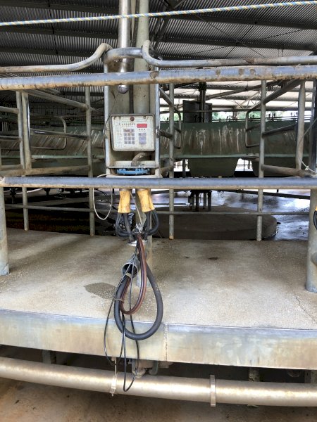 50 Stand Rotary Dairy Platform