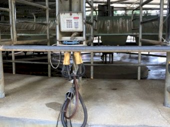 50 Stand Rotary Dairy Platform