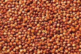 WANTED 2-3 mt Sorghum Grain