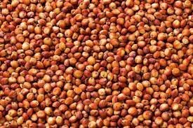 WANTED 2-3 mt Sorghum Grain