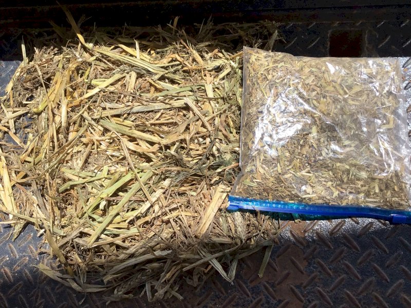 20-25mt Wheaten Hay 8x4x3 Bales