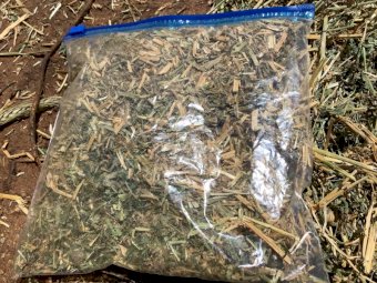 20-25mt Wheaten Hay 8x4x3 Bales