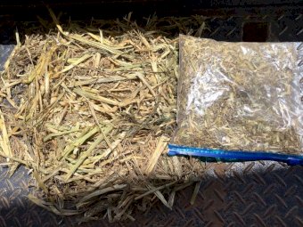 20-25mt Wheaten Hay 8x4x3 Bales