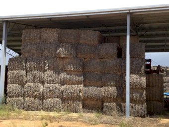 20-25mt Wheaten Hay 8x4x3 Bales