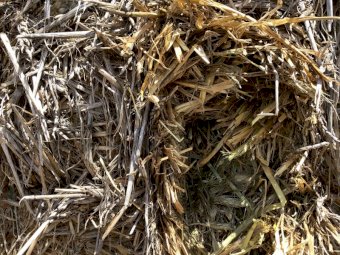 20-25mt Wheaten Hay 8x4x3 Bales