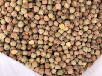 15 mt Field Peas