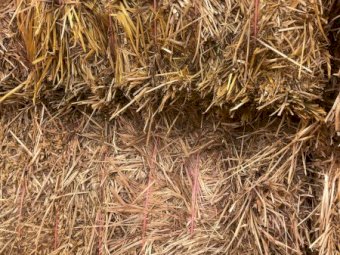 100mt Oaten Hay 700kg 8x4x3 Bales (New Season 22/23)