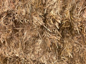 100mt Oaten Hay 700kg 8x4x3 Bales (New Season 22/23)