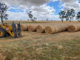 400 x Oaten Hay 390kg 5x4 Mix Rolls (New Season 22/23)
