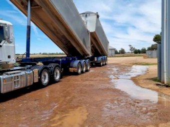 2014  R.E.S  Stag Tippers