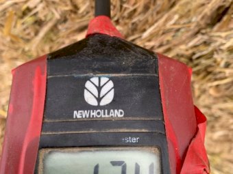 Oaten Hay 550kg 8x4x3 Bales off the Baler (New Season 22/23)