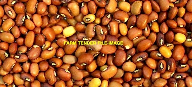6 mt Red Caloona Cow Pea