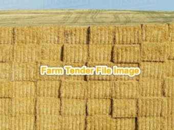 1000mt Oaten Hay 8x4x3 Bales (New Season 22/23)