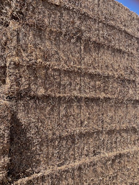 250mt Vetch Hay 8x4x3 Bales (New Season 22/23)