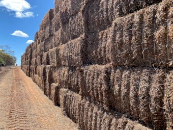 250mt Vetch Hay 8x4x3 Bales (New Season 22/23)